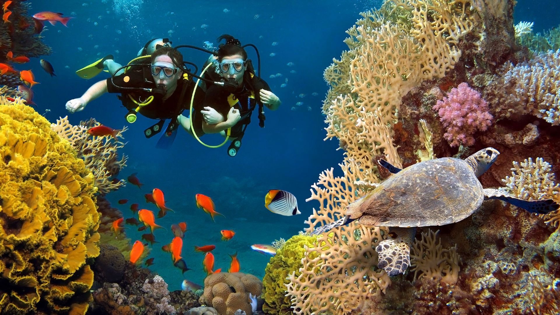 https://www.maldivescalling.com/system/images/000/669/502/3c70ee9258376347560aa83295b24fe3/banner/Snorkelling.jpg